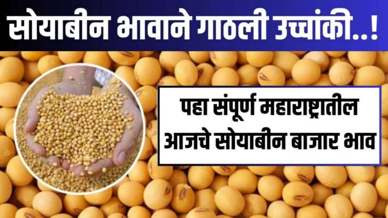 Soyabean Rate Today