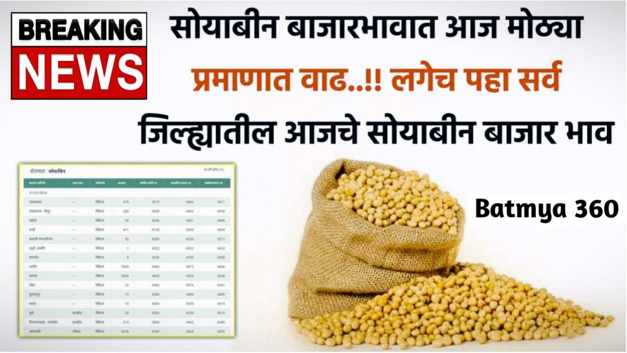 Soyabean Rate Today