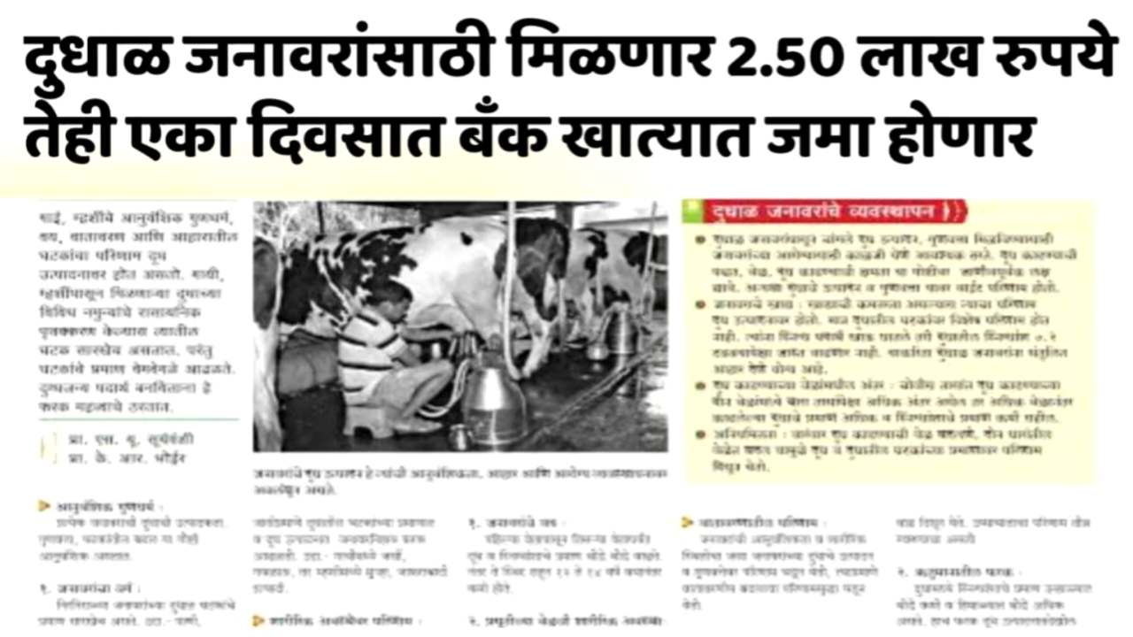 Subsidy for cowshed