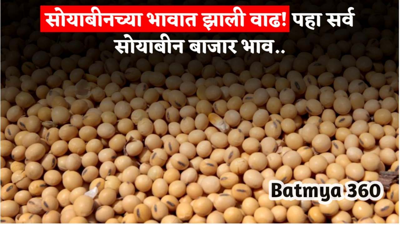 Soyabean Rate