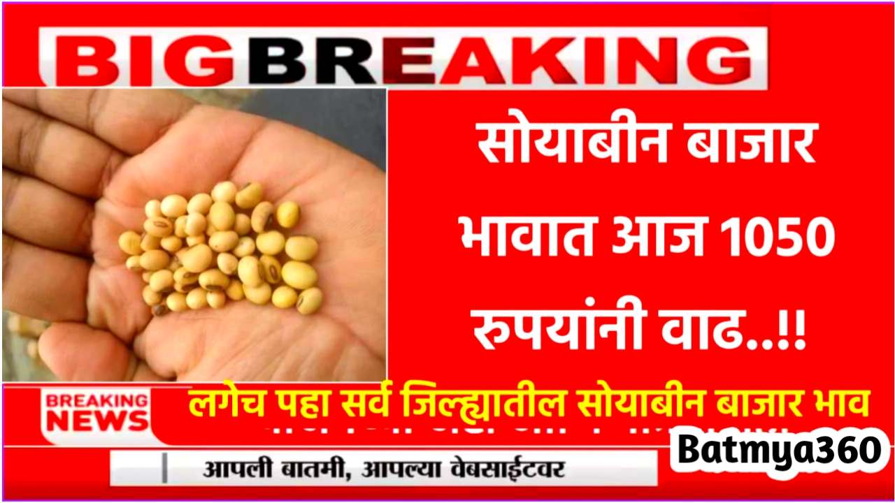 Soyabean Rate Today