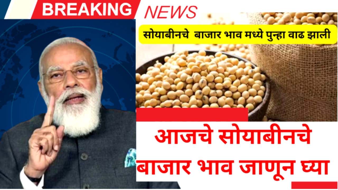 Soyabean Rate Today