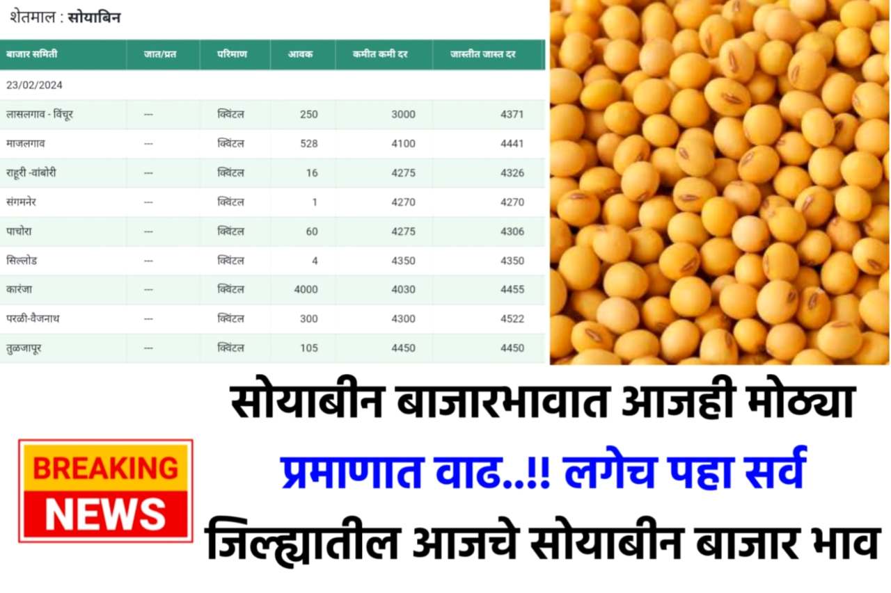 Soybean Rate Today