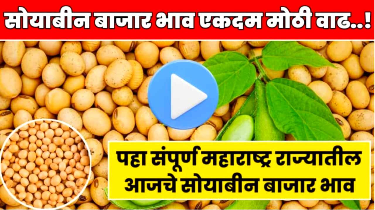 Soyabean Rate Today