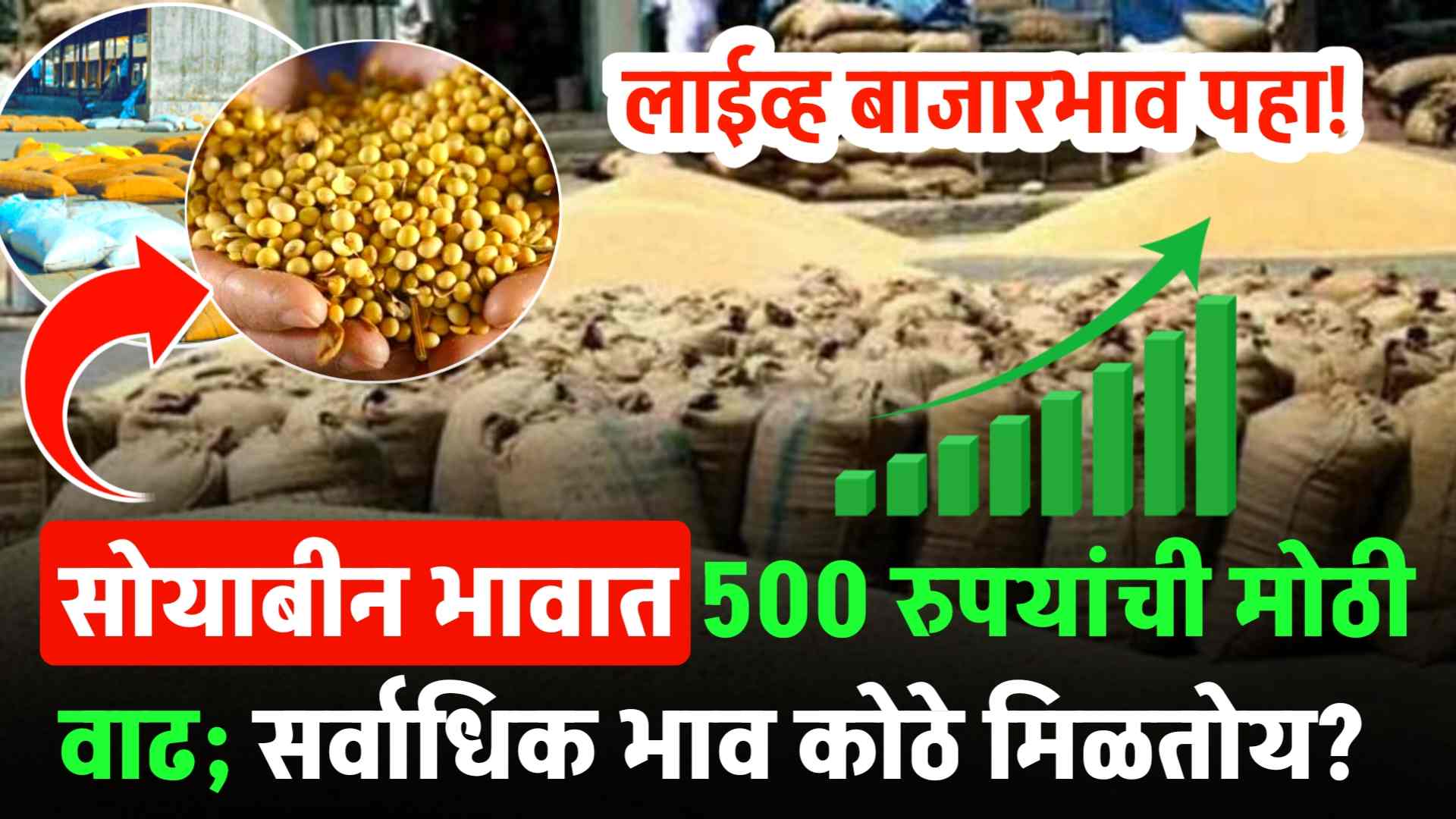 Soyabean Market Maharashtra