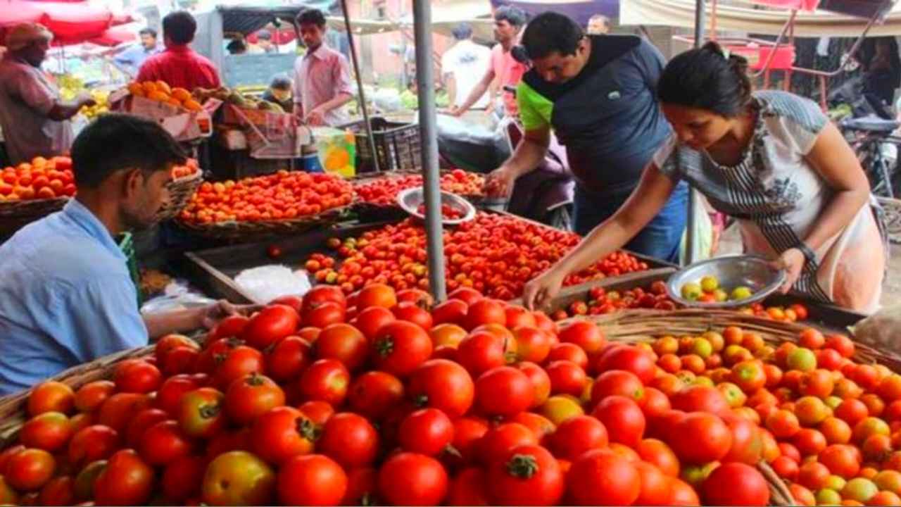 Tomato Rate Today