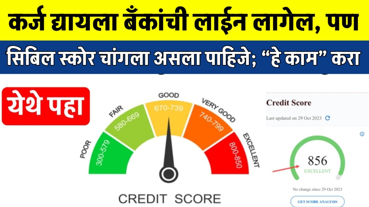 Cibil Score Check